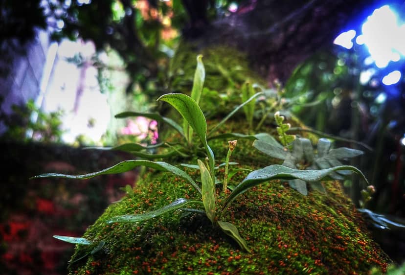 Unauth title uXNHlAgI